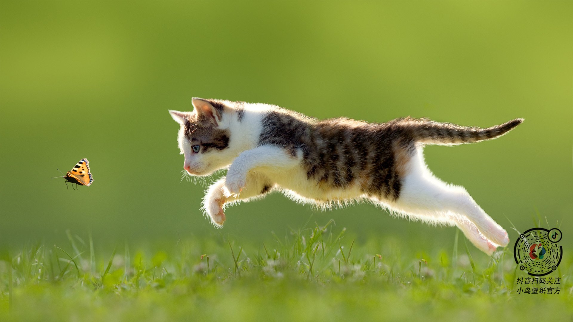 “法甲历史性战役,豪门巅峰激烈角逐”,法甲战况