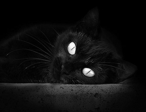 全国青少年足球冠军赛盛大开幕，激发少年梦想，2020全国青少年足球冠军赛