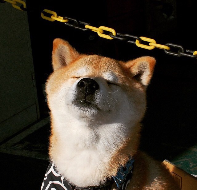 德甲主帅大换血，战术风格迎来新变革，德甲各队主帅